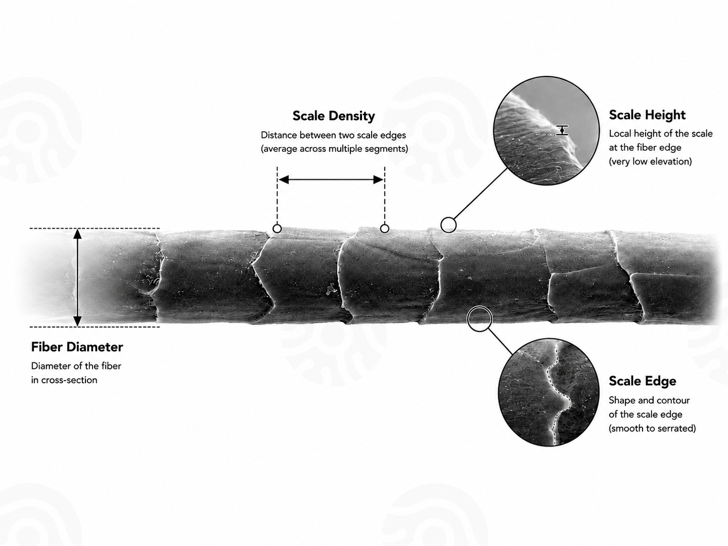 Process from textile sample to isolated single fibre