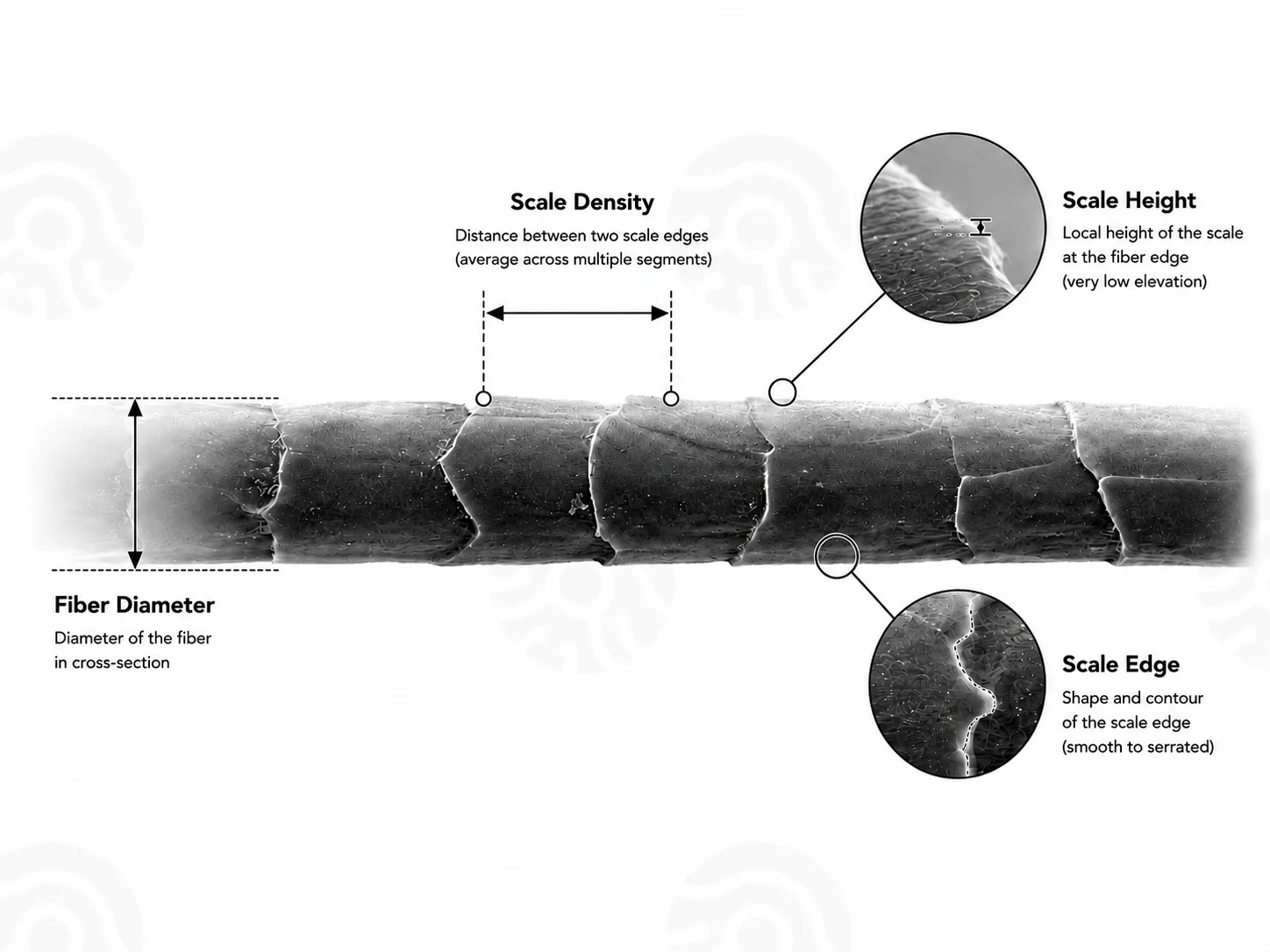 Process from textile sample to isolated single fibre