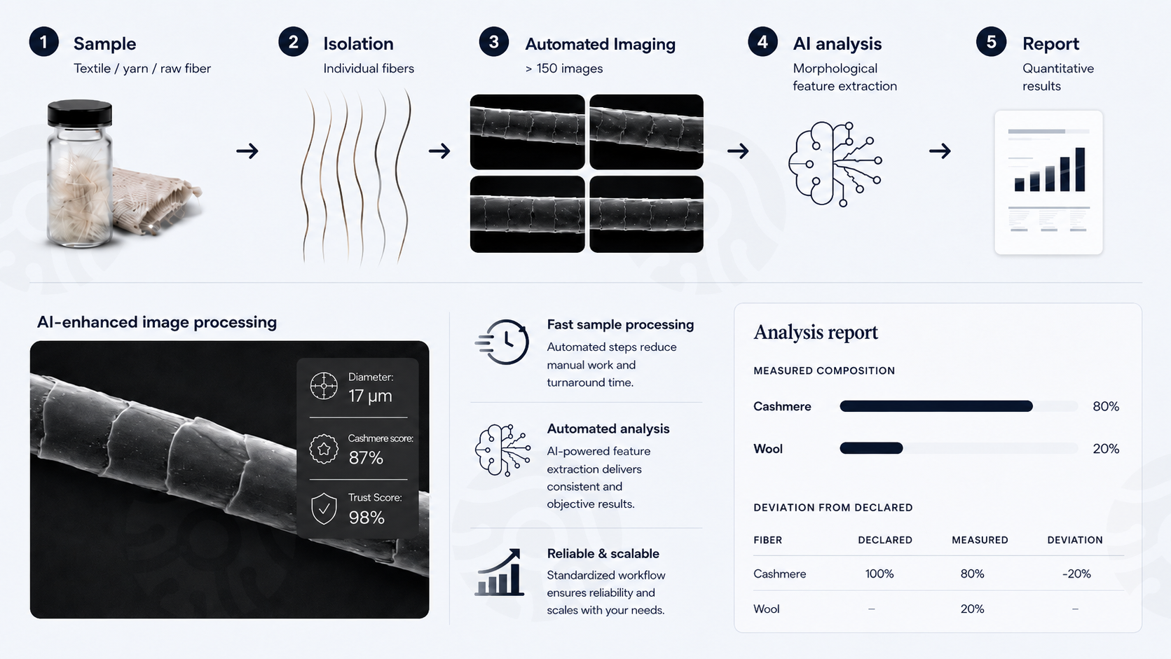 HairSense AI-assisted fiber analysis process