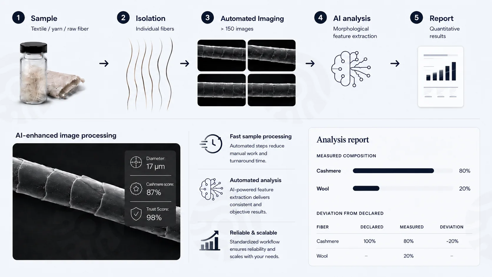 HairSense AI-assisted fiber analysis process